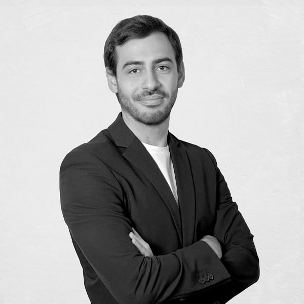 Organigramma Tecnicaer - Davide Brasile