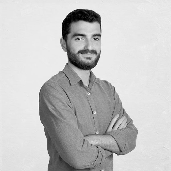 Organigramma Tecnicaer - Ervin Azizi